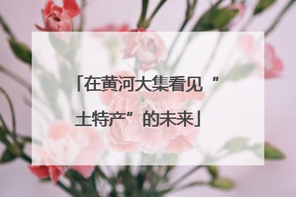 在黄河大集看见“土特产”的未来