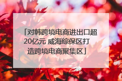 对韩跨境电商进出口超20亿元 威海综保区打造跨境电商聚集区