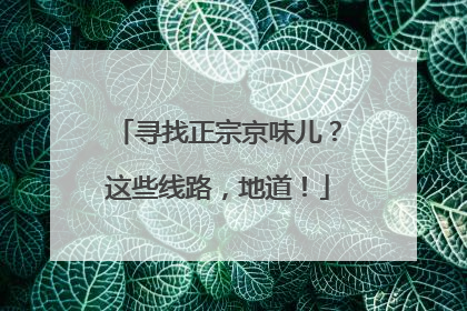 寻找正宗京味儿？这些线路，地道！