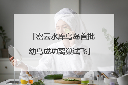 密云水库鸟岛首批幼鸟成功离巢试飞