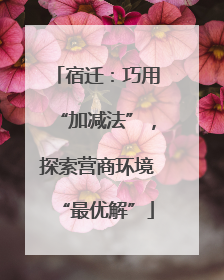 宿迁：巧用“加减法”，探索营商环境“最优解”