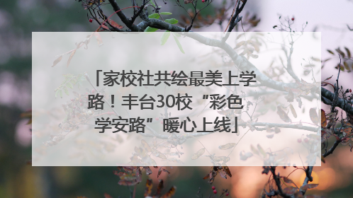 家校社共绘最美上学路！丰台30校“彩色学安路”暖心上线