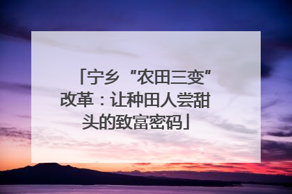 宁乡“农田三变”改革：让种田人尝甜头的致富密码