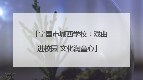 宁国市城西学校：戏曲进校园 文化润童心