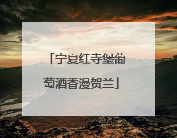 宁夏红寺堡葡萄酒香漫贺兰