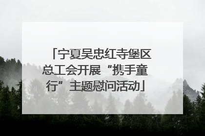 宁夏吴忠红寺堡区总工会开展“携手童行”主题慰问活动