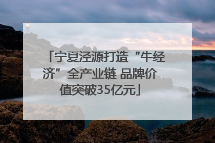 宁夏泾源打造“牛经济”全产业链 品牌价值突破35亿元