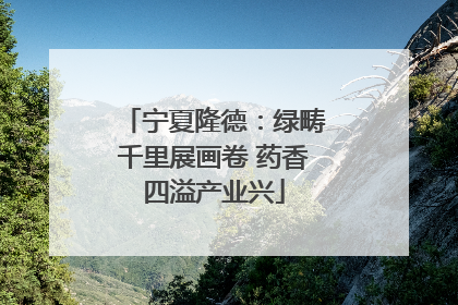 宁夏隆德：绿畴千里展画卷 药香四溢产业兴