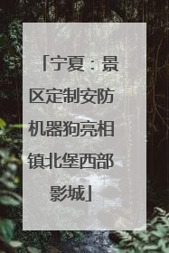 宁夏：景区定制安防机器狗亮相镇北堡西部影城