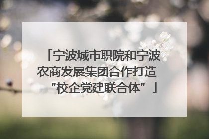 宁波城市职院和宁波农商发展集团合作打造“校企党建联合体”