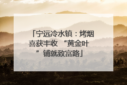 宁远冷水镇：烤烟喜获丰收 “黄金叶”铺就致富路