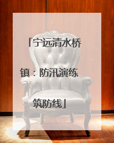 宁远清水桥镇：防汛演练筑防线