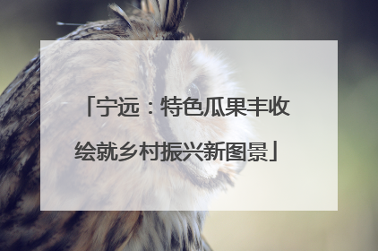 宁远：特色瓜果丰收绘就乡村振兴新图景