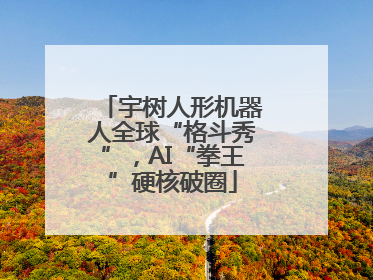 宇树人形机器人全球“格斗秀”，AI“拳王”硬核破圈