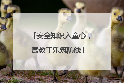 安全知识入童心，寓教于乐筑防线