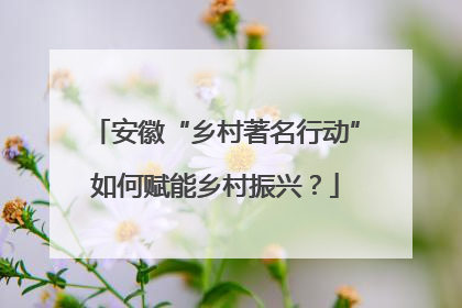 安徽“乡村著名行动”如何赋能乡村振兴？