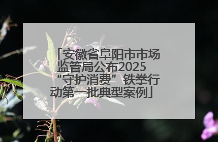 安徽省阜阳市市场监管局公布2025“守护消费”铁拳行动第一批典型案例