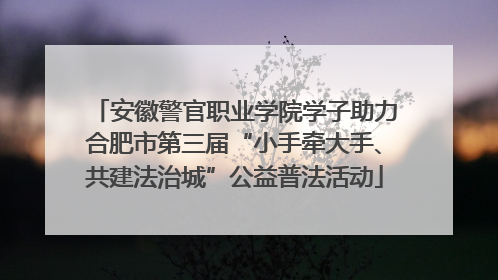 安徽警官职业学院学子助力合肥市第三届“小手牵大手、共建法治城”公益普法活动