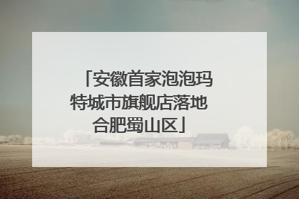 安徽首家泡泡玛特城市旗舰店落地合肥蜀山区