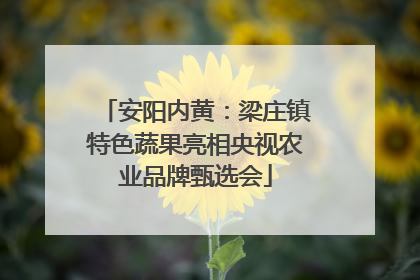 安阳内黄：梁庄镇特色蔬果亮相央视农业品牌甄选会