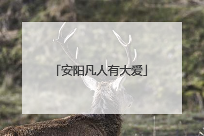 安阳凡人有大爱