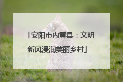 安阳市内黄县：文明新风浸润美丽乡村