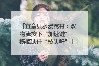 宜章县水浸窝村：双物流按下“加速键” 杨梅锁住“枝头鲜”