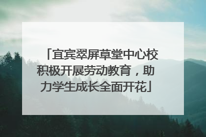 宜宾翠屏草堂中心校积极开展劳动教育，助力学生成长全面开花