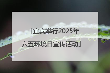 宜宾举行2025年六五环境日宣传活动