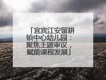 宜宾江安留耕镇中心幼儿园：聚焦主题审议，赋能课程发展