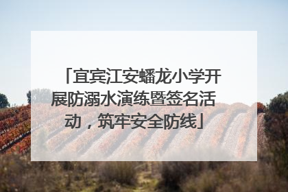 宜宾江安蟠龙小学开展防溺水演练暨签名活动，筑牢安全防线