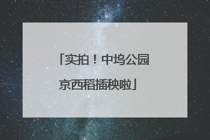 实拍！中坞公园京西稻插秧啦