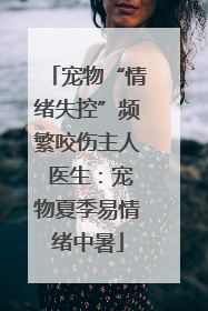 宠物“情绪失控”频繁咬伤主人 医生：宠物夏季易情绪中暑