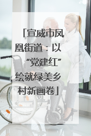 宣威市凤凰街道：以“党建红”绘就绿美乡村新画卷