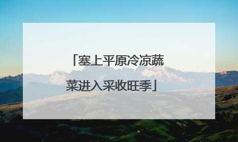 塞上平原冷凉蔬菜进入采收旺季