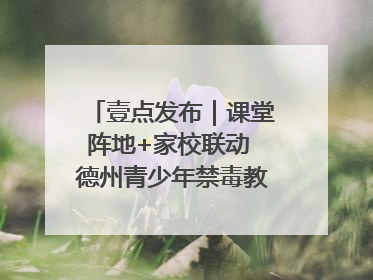 壹点发布｜课堂阵地+家校联动 德州青少年禁毒教育全覆盖