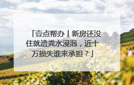 壹点帮办丨新房还没住就遭粪水浸泡，近十万损失谁来承担？