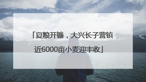夏粮开镰，大兴长子营镇近6000亩小麦迎丰收