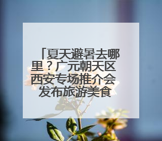 夏天避暑去哪里？广元朝天区西安专场推介会 发布旅游美食线路