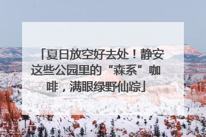 夏日放空好去处！静安这些公园里的“森系”咖啡，满眼绿野仙踪