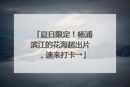 夏日限定！杨浦滨江的花海超出片，速来打卡→