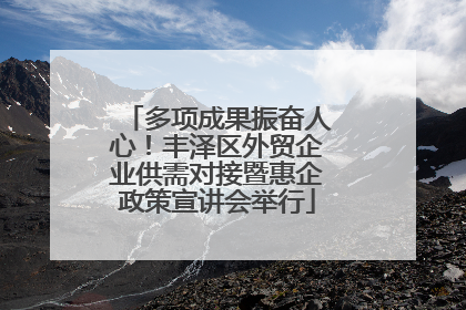 多项成果振奋人心！丰泽区外贸企业供需对接暨惠企政策宣讲会举行