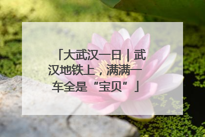 大武汉一日｜武汉地铁上，满满一车全是“宝贝”