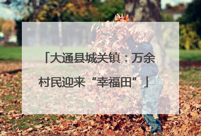 大通县城关镇：万余村民迎来“幸福田”