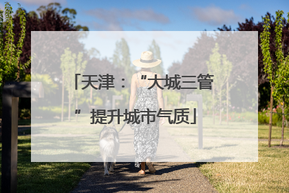 天津：“大城三管”提升城市气质
