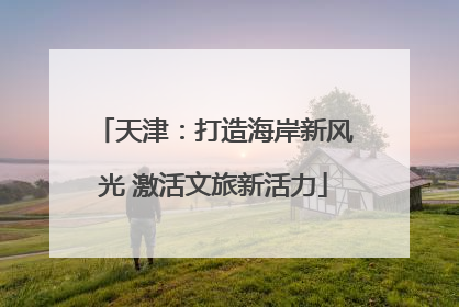 天津：打造海岸新风光 激活文旅新活力