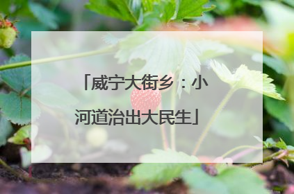 威宁大街乡:小河道治出大民生
