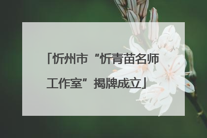 忻州市“忻青苗名师工作室”揭牌成立