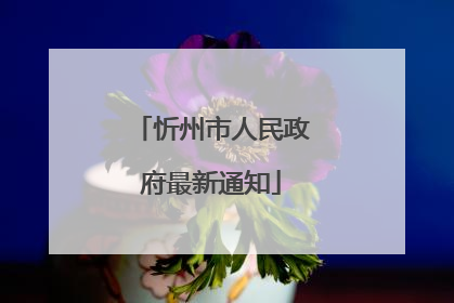 忻州市人民政府最新通知