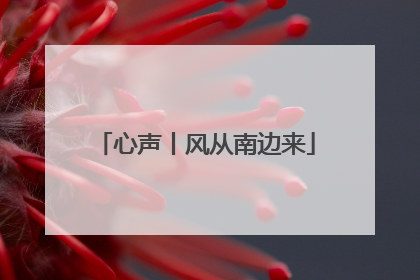 心声丨风从南边来